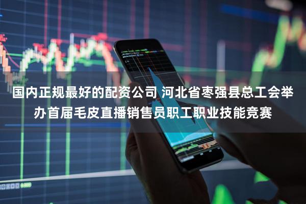 国内正规最好的配资公司 河北省枣强县总工会举办首届毛皮直播销售员职工职业技能竞赛